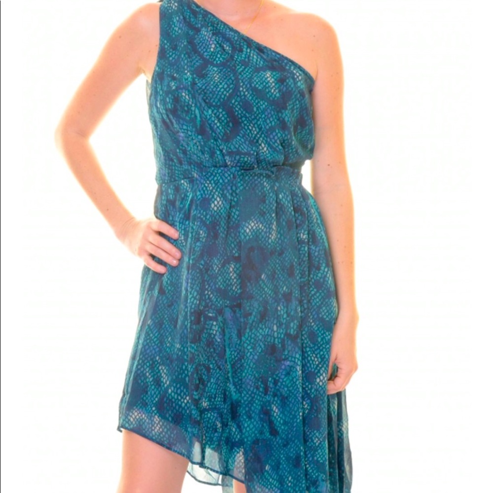 Rachel Roy One Shoulder Malachite Combo Dress